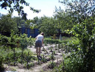 Similar image 108572