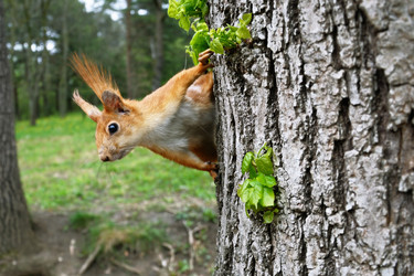 Similar image 108592