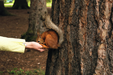 Similar image 108594