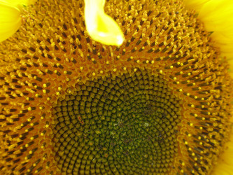 Similar image 108602