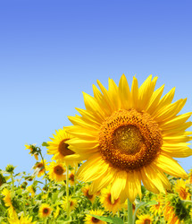 Similar image 108604