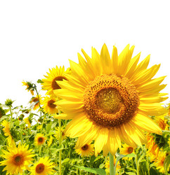 Similar image 108605