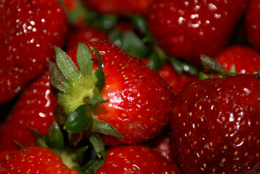 Similar image 108646