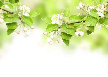 Similar image 108683