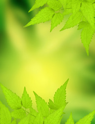 Similar image 108691