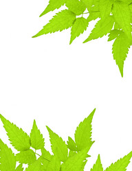 Similar image 108692