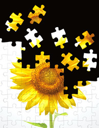 Similar image 108698