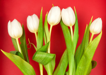 Similar image 108834