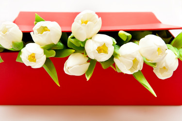 Similar image 108836