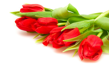 Similar image 108842