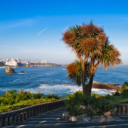 Similar image 108844