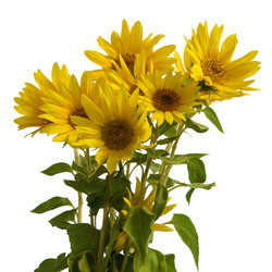 Similar image 108855