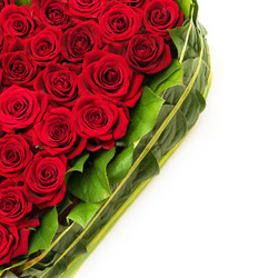 Similar image 108920