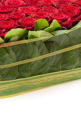 Similar image 108922