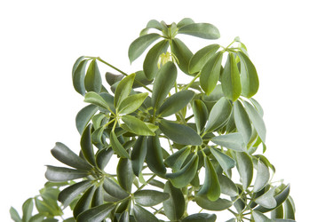 Similar image 108925