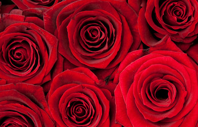 Similar image 108926