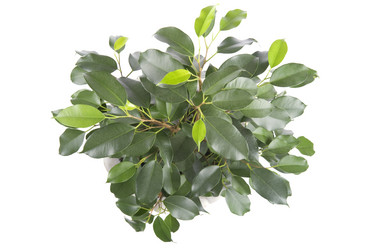 Similar image 108927