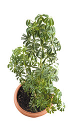 Similar image 108928