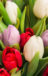 Similar image 108929