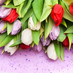 Similar image 108931