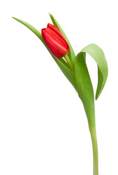 Similar image 108941