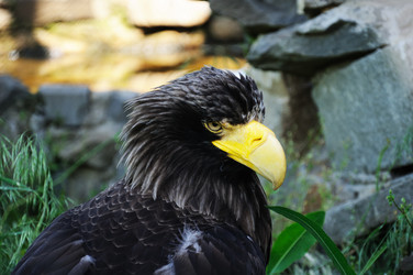 Similar image 108943