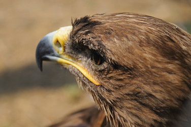 Similar image 108945