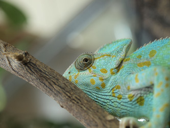 Similar image 108947