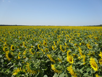 Similar image 108968