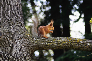 Similar image 109004