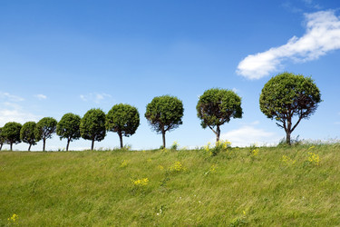 Similar image 109016