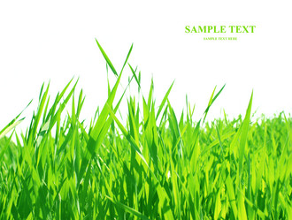 Similar image 109047