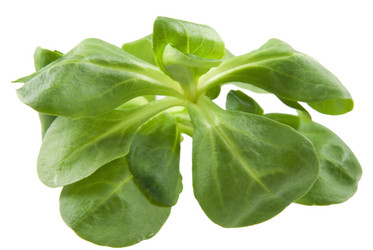 Similar image 109120