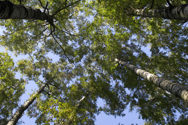 Similar image 109121