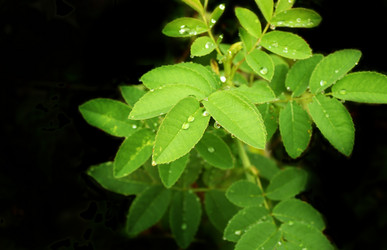 Similar image 109157