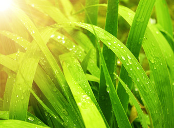 Similar image 109162