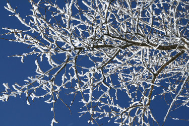 Similar image 109179