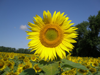 Similar image 109236