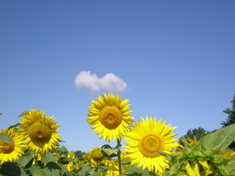 Similar image 109241