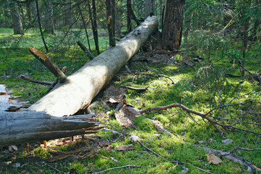 Similar image 109265