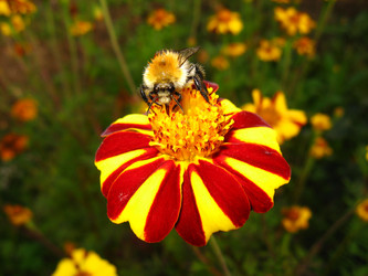 Similar image 109353