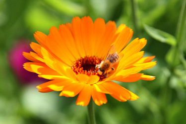 Similar image 109443