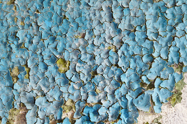 Similar image 109451