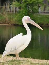 Similar image 109484