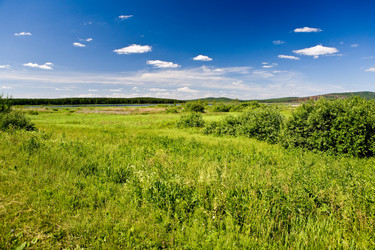 Similar image 109595