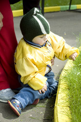 Similar image 109625