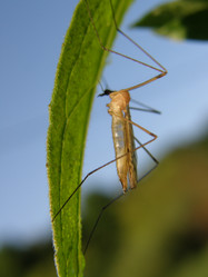 Similar image 109695