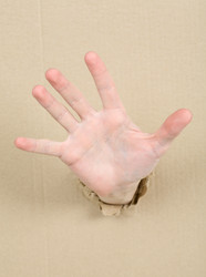 Similar image 109720