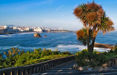 Similar image 109835