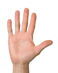 Similar image 109854